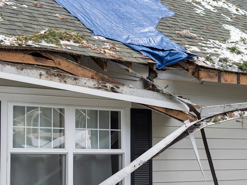 JD Ferro Roofing